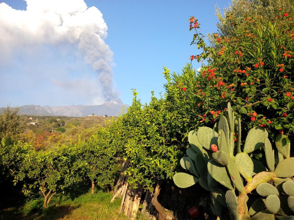 Le Case Di Bacco Santa Venerina Zimmer foto