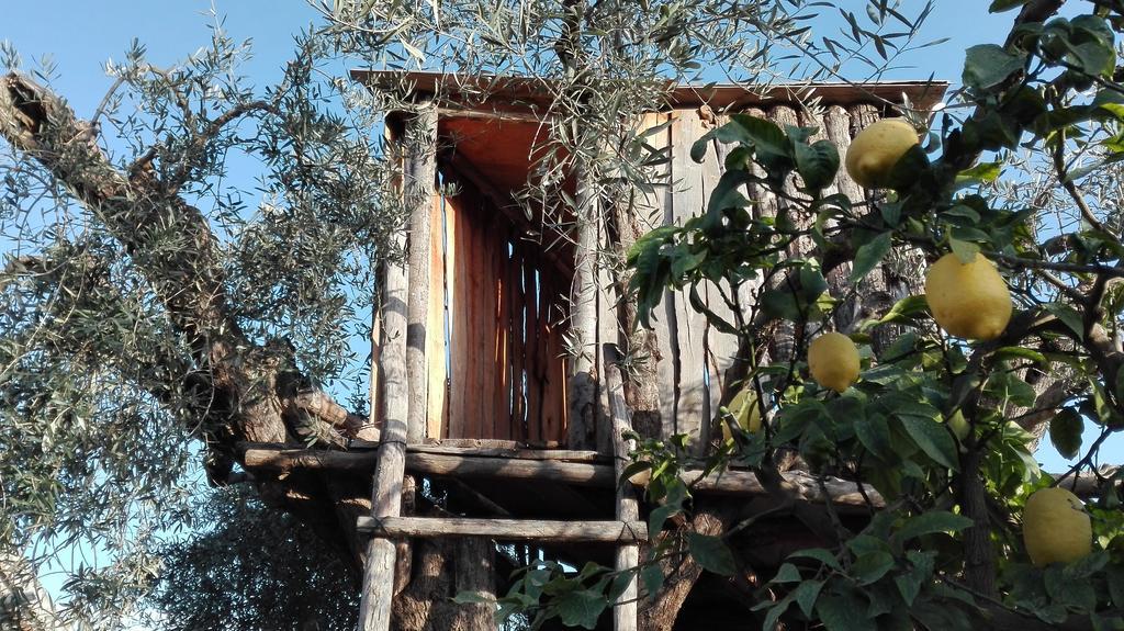 Le Case Di Bacco Santa Venerina Exterior foto